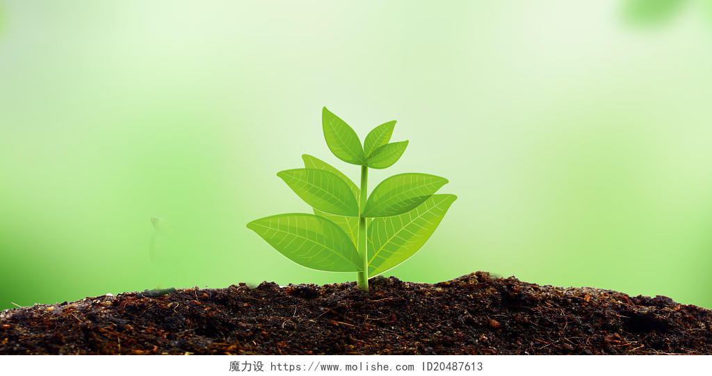 绿色植物发芽创意光晕效果展板背景发芽的植物